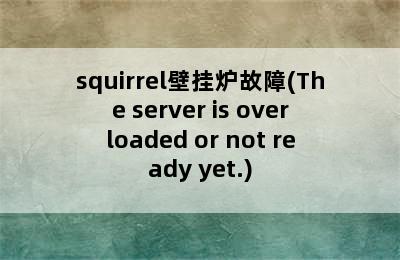 squirrel壁挂炉故障(The server is overloaded or not ready yet.)